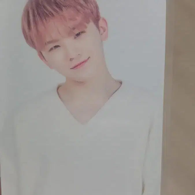 CARAT Land 우지 포카