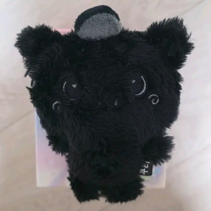 엔시티 위시 컬러 위시돌 리쿠 시크릿 검정 블랙 쿠리 양도