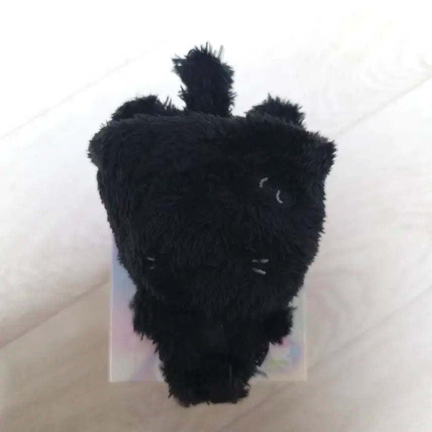 엔시티 위시 컬러 위시돌 유우시 시크릿 블랙 버블냥 양도