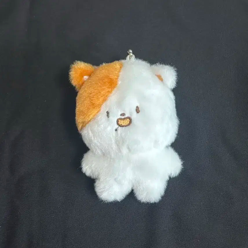 엔시티드림 지성 인형