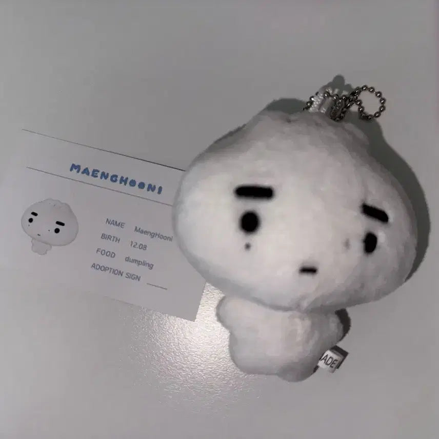 맹후니 엔하이픈 성훈 인형