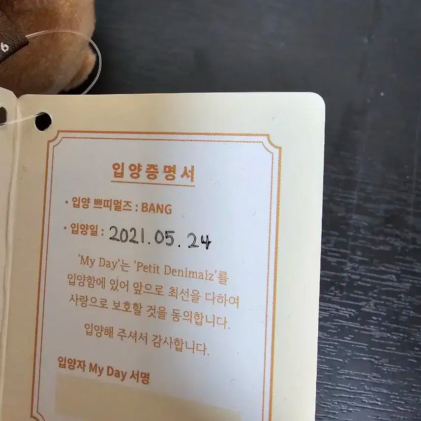 2021 데이식스 쁘띠멀즈 방 성진 뱃지포함