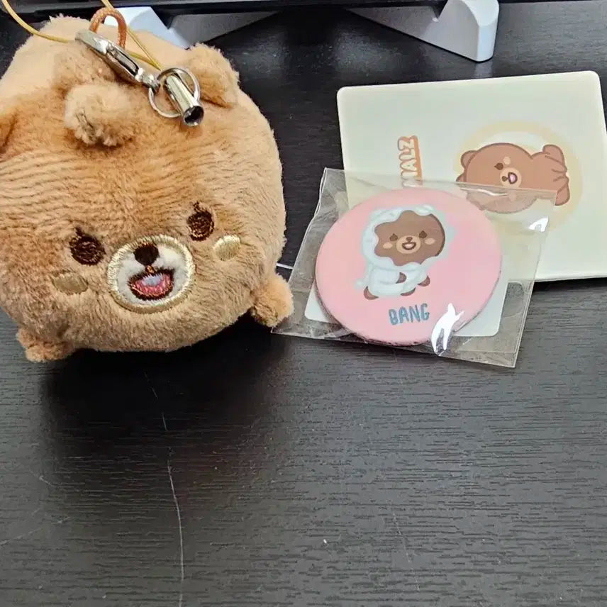 2021 데이식스 쁘띠멀즈 방 성진 뱃지포함