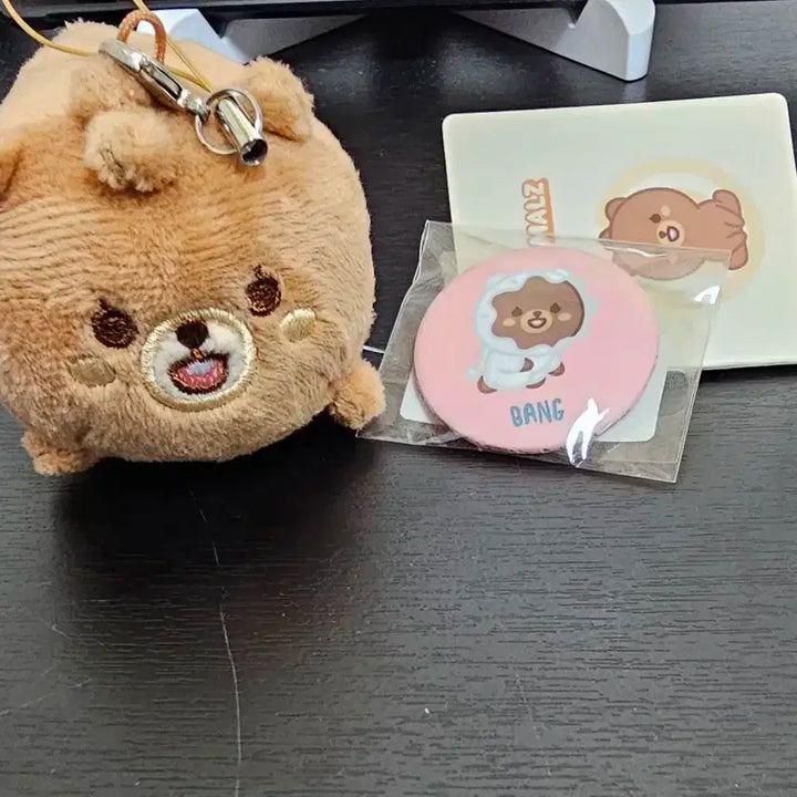 2021 데이식스 쁘띠멀즈 방 성진 뱃지포함
