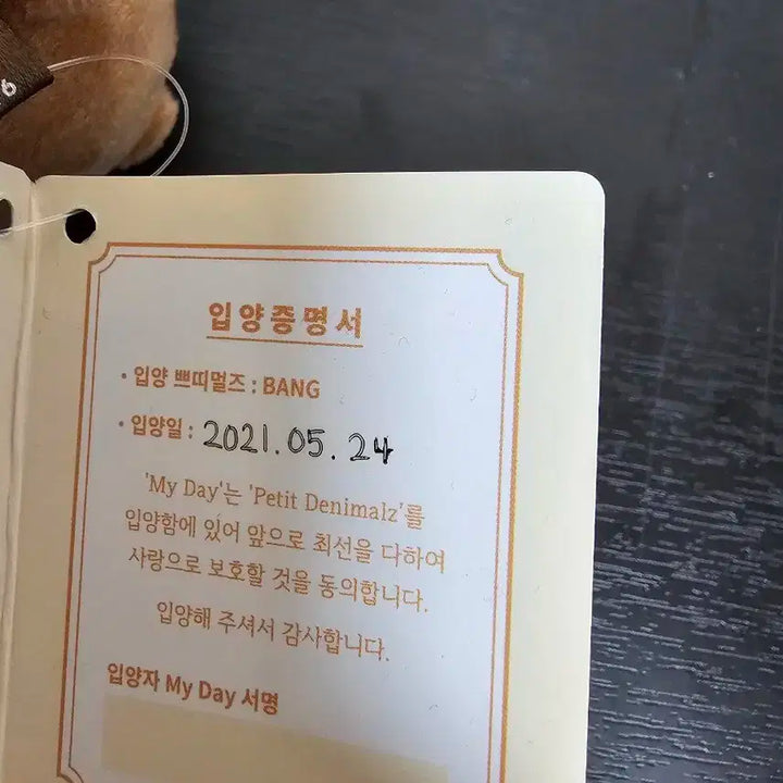 2021 데이식스 쁘띠멀즈 방 성진 뱃지포함