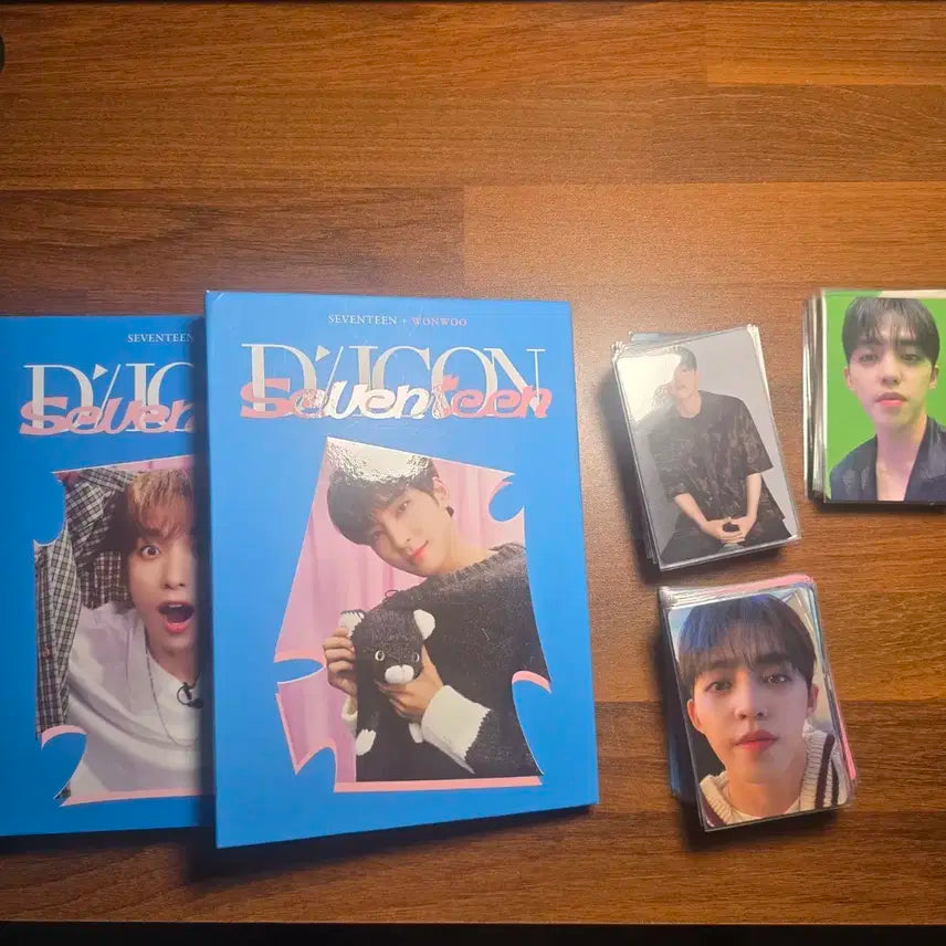 세븐틴 디아이콘 원우 도겸 바인더 포카 100장