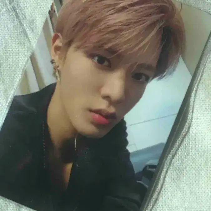 레귤러 유타 포카
