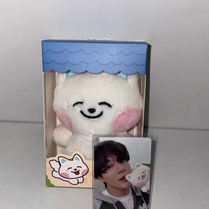 엔시티 드림 인형 드리미즈 쩨드 급처 양도 제노 제노인형 엔시티드림