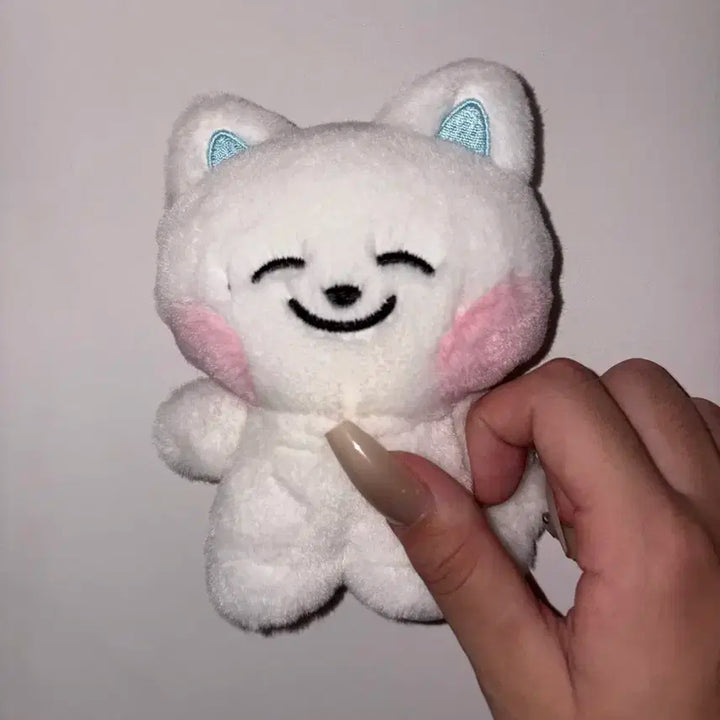 엔시티 드림 인형 드리미즈 쩨드 급처 양도 제노 제노인형 엔시티드림