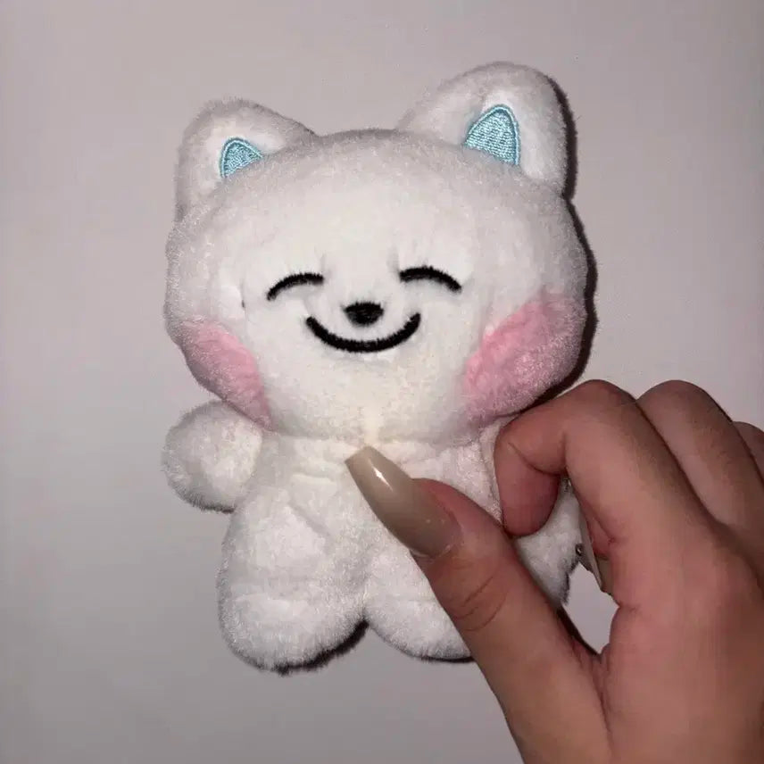 엔시티 드림 인형 드리미즈 쩨드 급처 양도 제노 제노인형 엔시티드림