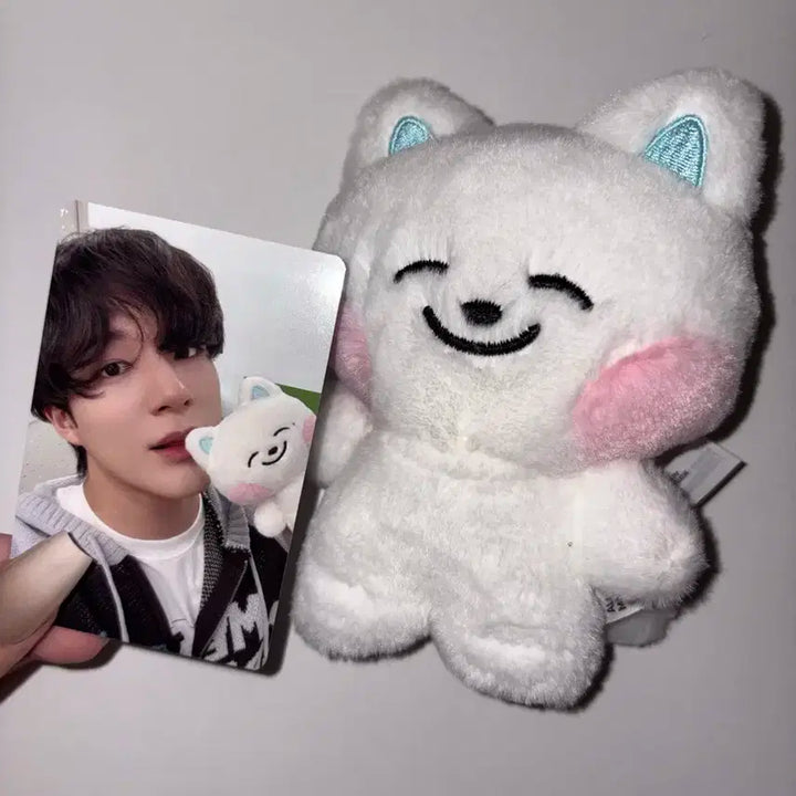 엔시티 드림 인형 드리미즈 쩨드 급처 양도 제노 제노인형 엔시티드림