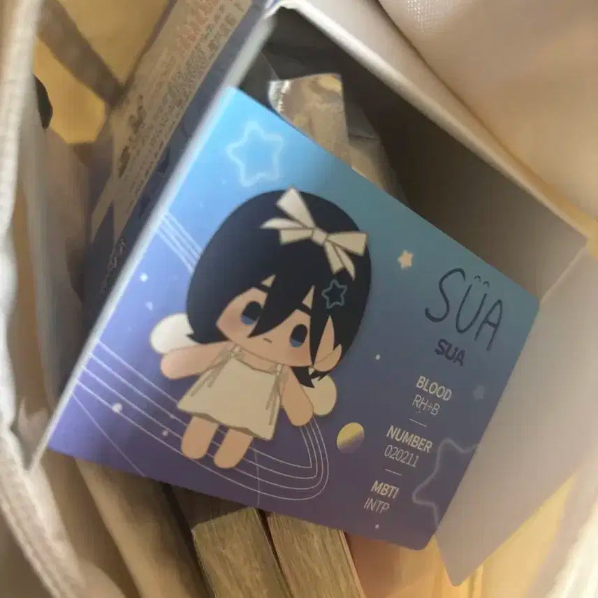 에이스테 미니 인형