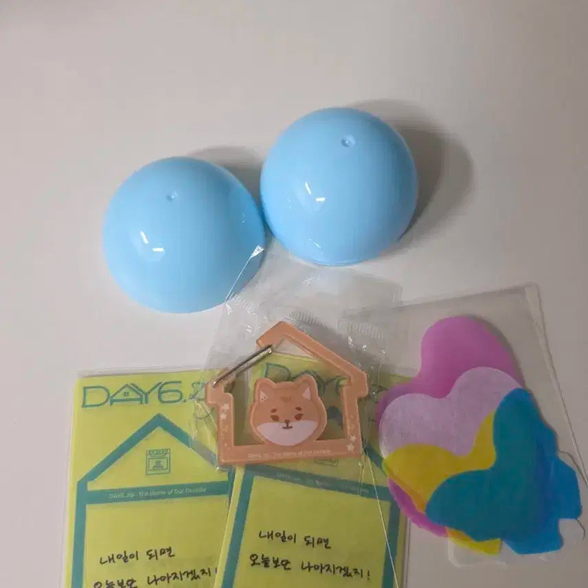 데이식스 팝업 가챠 케 카라비너