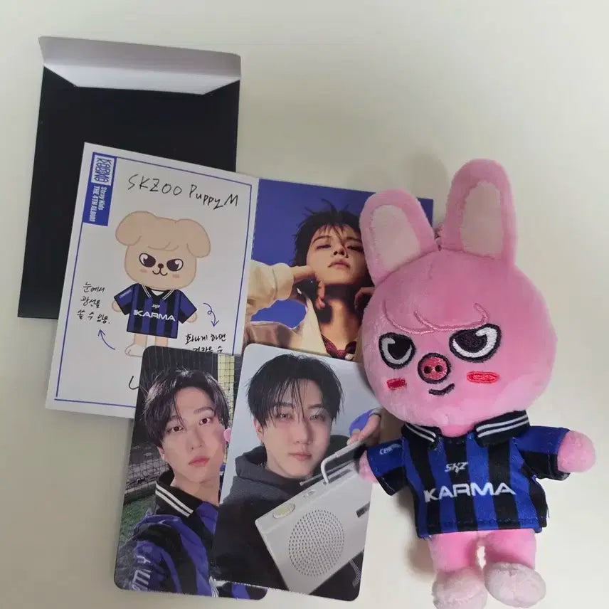 스키즈 카르마 스키주 네모 앨범(돼끼)