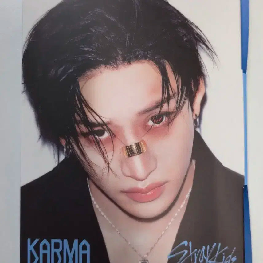 개봉) 스트레이키즈 KARMA 아코디언 버전 앨범 방찬
