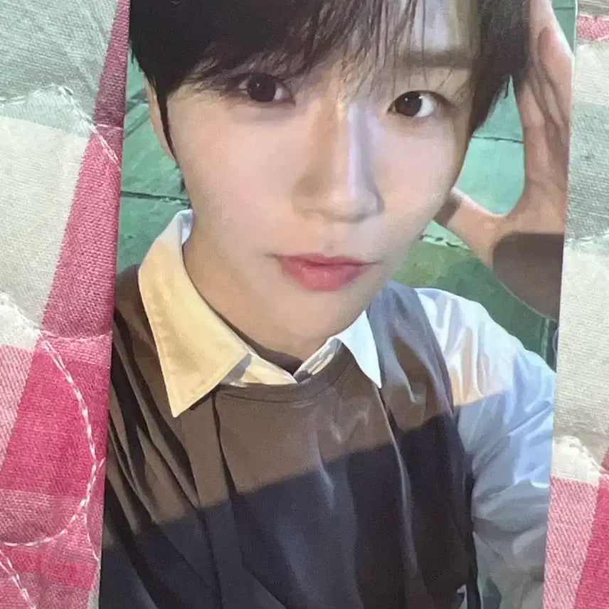 스테디 재희 포카