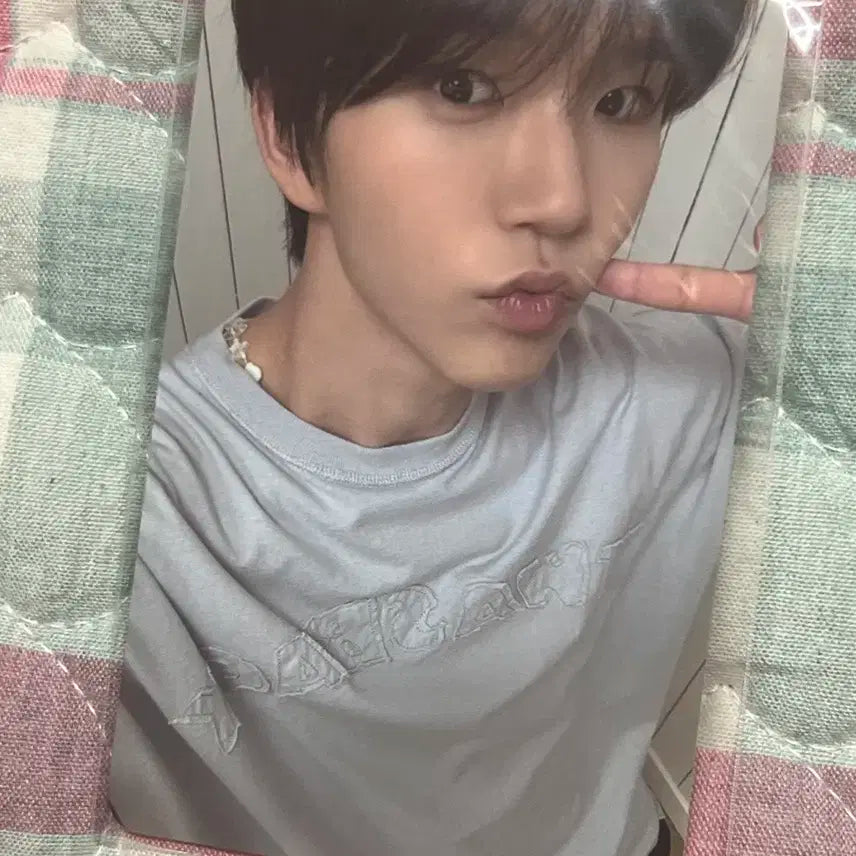 스테디 슴스 재희 포카