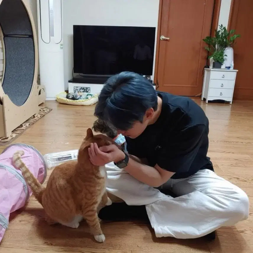 스트레이키즈 칙칙붐 미개봉 앨범 판매