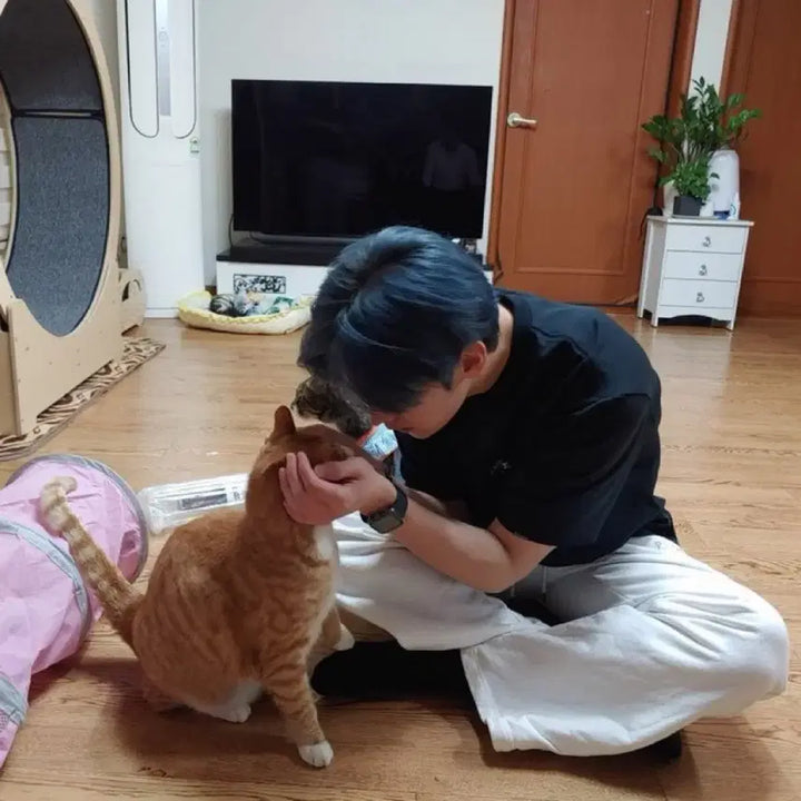 스트레이키즈 칙칙붐 미개봉 앨범 판매