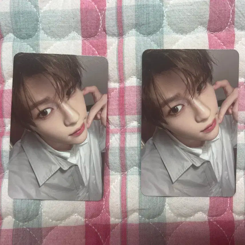 스테디 트레카 시온 포카