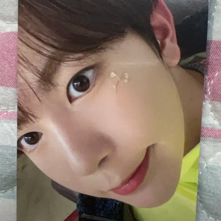 송버드 료 포카