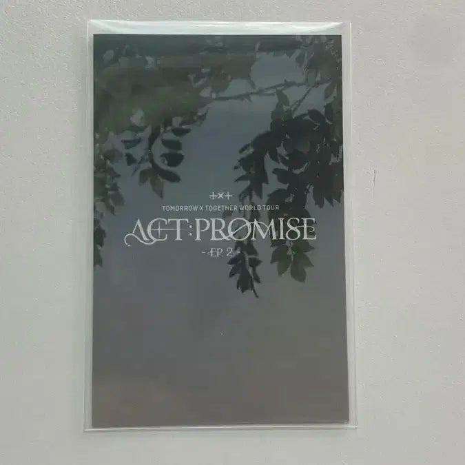 투바투 프미콘 모아존 강태현 포카