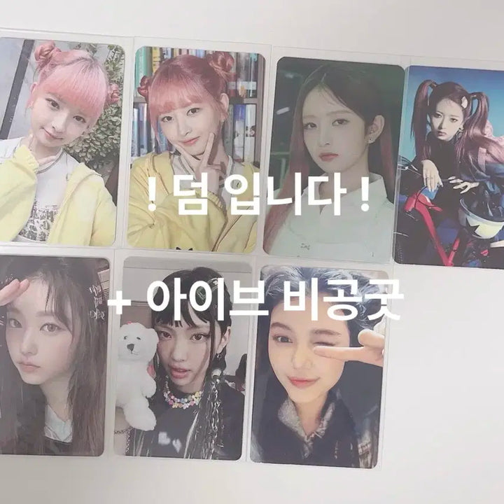 아이브포카일괄양도 시세킹찜질방장원영이서레이유진도쿄오사카처분양도