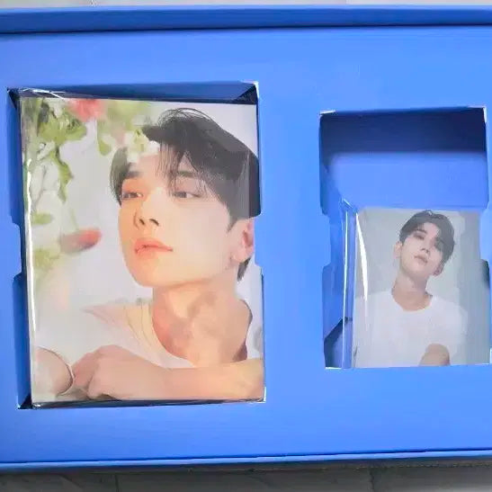 세븐틴 베스트앨범 캐럿반 조슈아