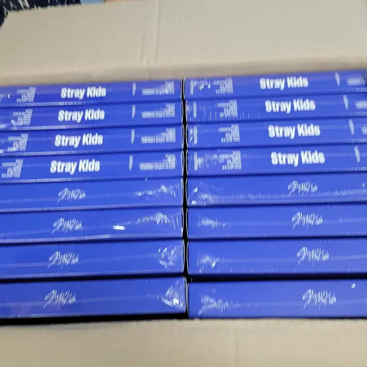 스트레이키즈 카르마 karma 일반반 세트 미개봉 앨범