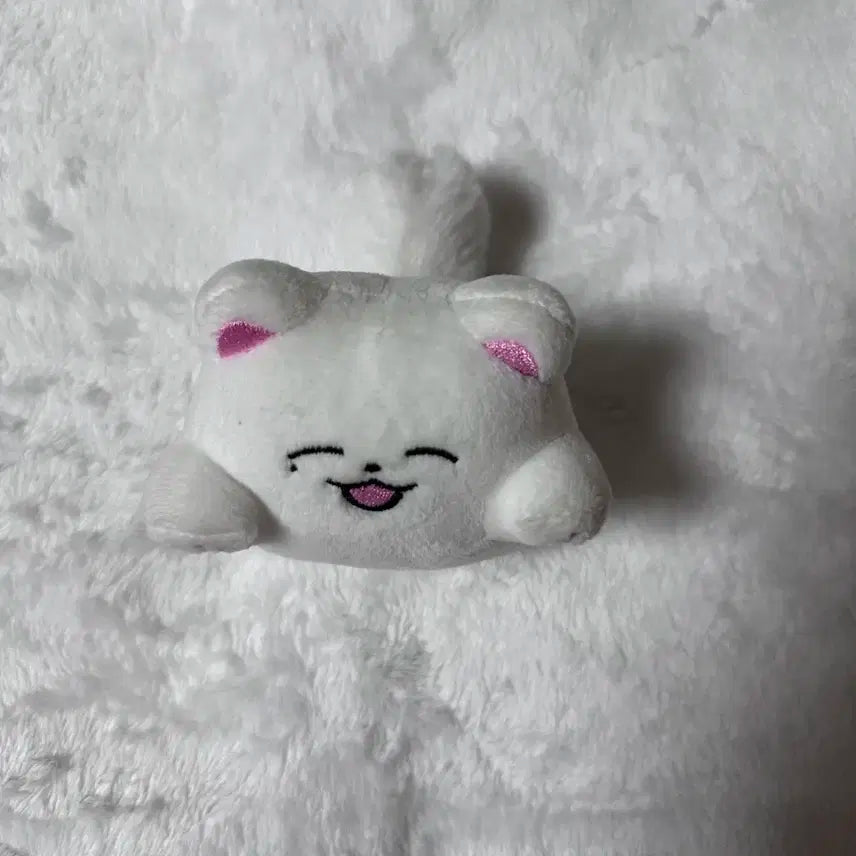 NCTDREAM 제노 왕왕젠 양도