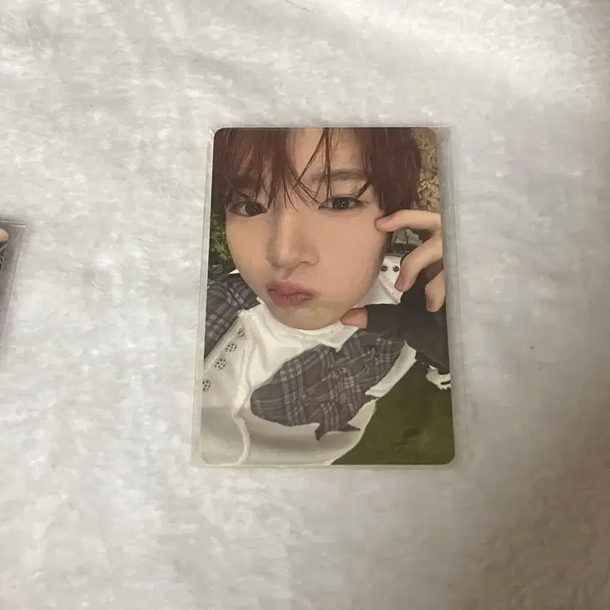 위시 컬러 쥬얼 개인 사쿠야 포카
