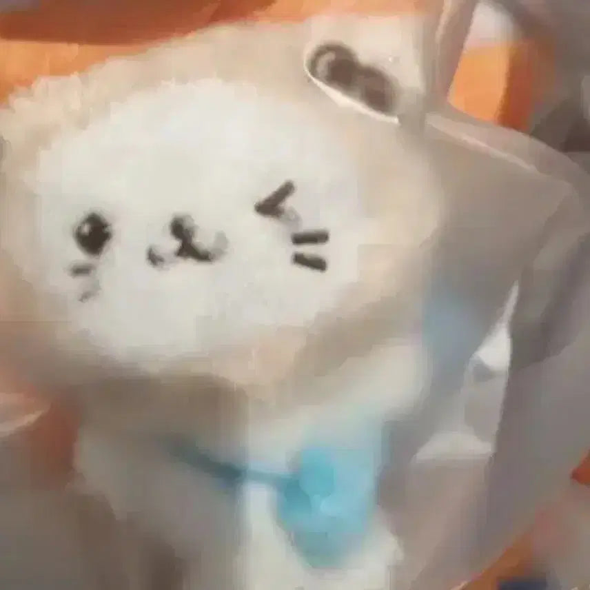 엔시티 위시 유우시 버블냥 미개봉  nct wish