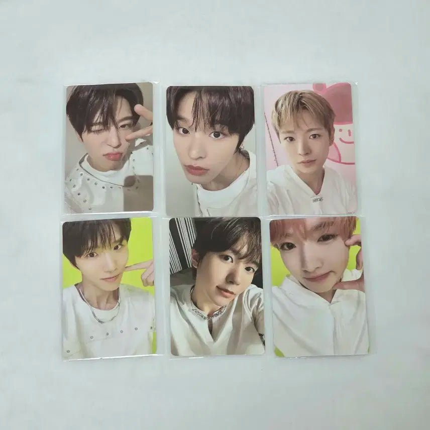 세트) 엔시티위시 컬러 팔레트 쇼케이스 미공포 포카