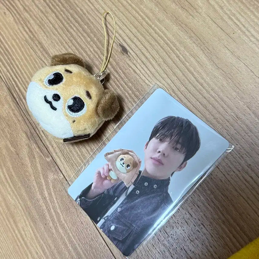 데이식스 돈 페이스키링+md포카