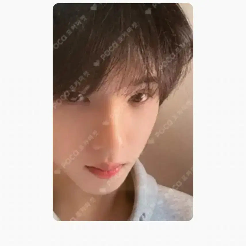 NCTDREAM 지성 이스케이프 에버라인 럭드 판매 엔시티드림