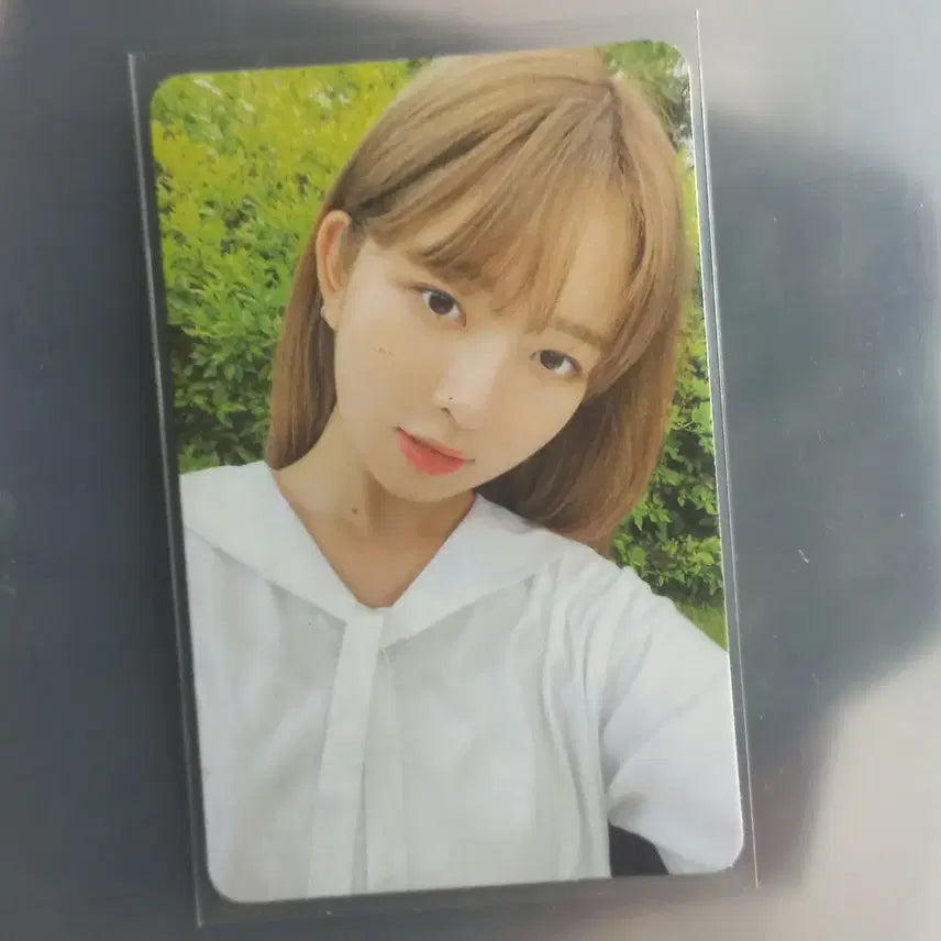 아이브 레이 포카