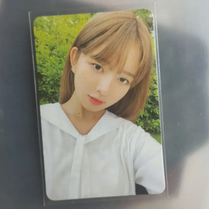 아이브 레이 포카