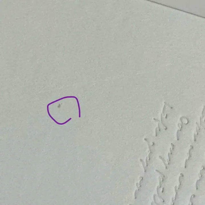 방탄 BE 비 디럭스 앨범 포카 양도