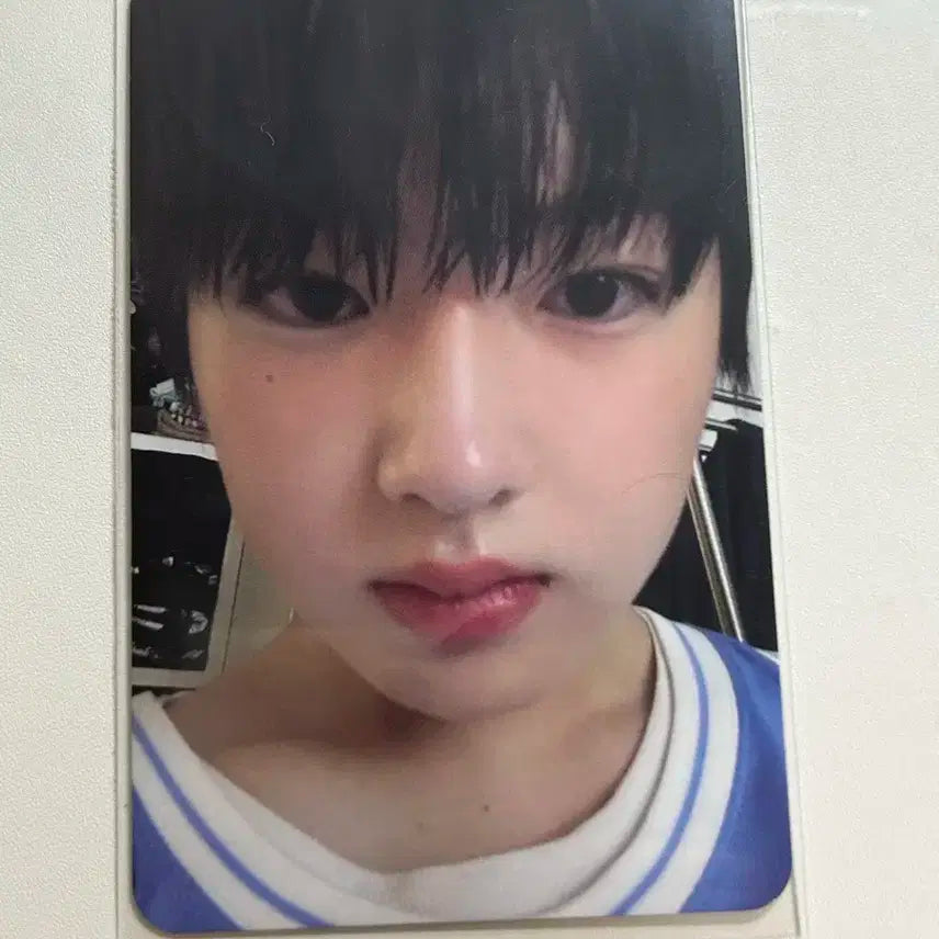 엔시티 위시 사쿠야 초회한정판 팝팝 포카 판매 급처