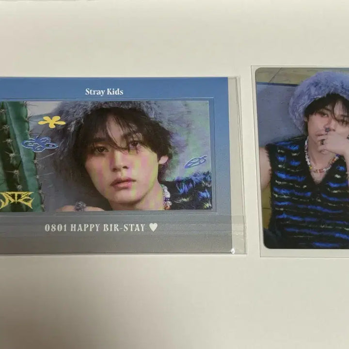 스트레이키즈 리노 에이트 팝업 0801 스테이 생일 타워레코드미공포