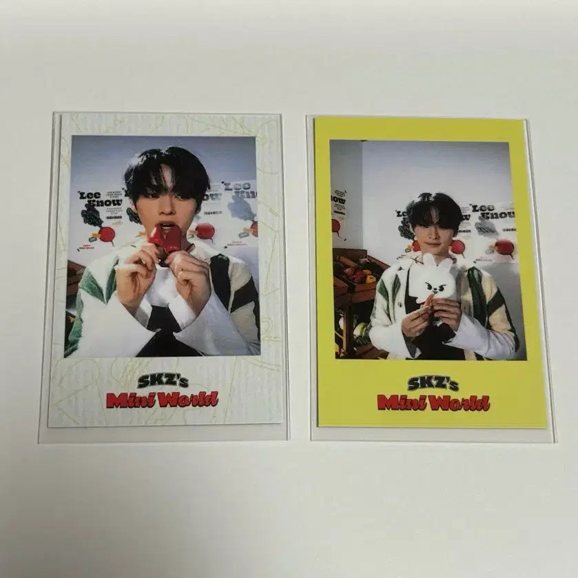 스트레이키즈 리노 2023 시즌그리팅 짭폴