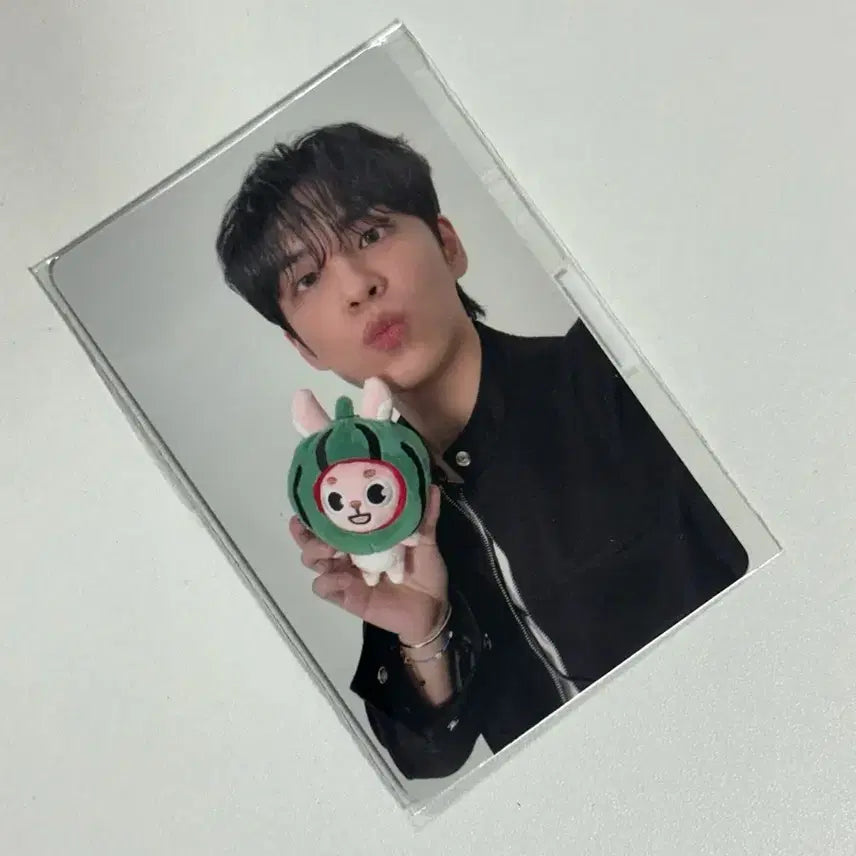 (미개봉) 데이식스 포에버영 4만원 포카 수박 원필 양도해요