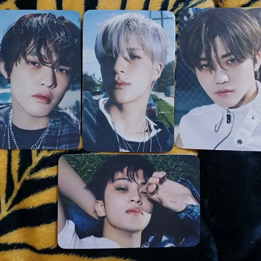 엔시티127 Fact Check 앨범