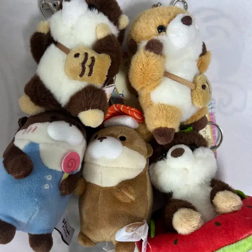 쇼타로 수달인형 일괄