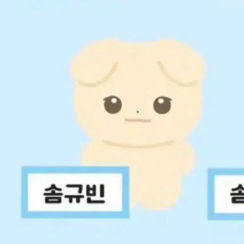솜규빈 급처