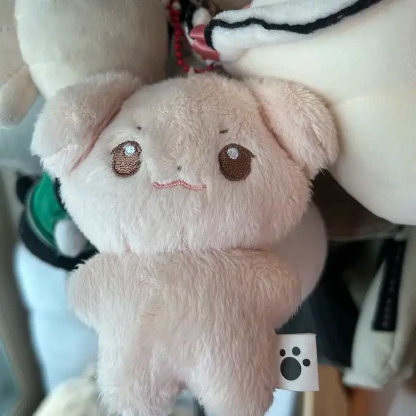 솜규빈 급처
