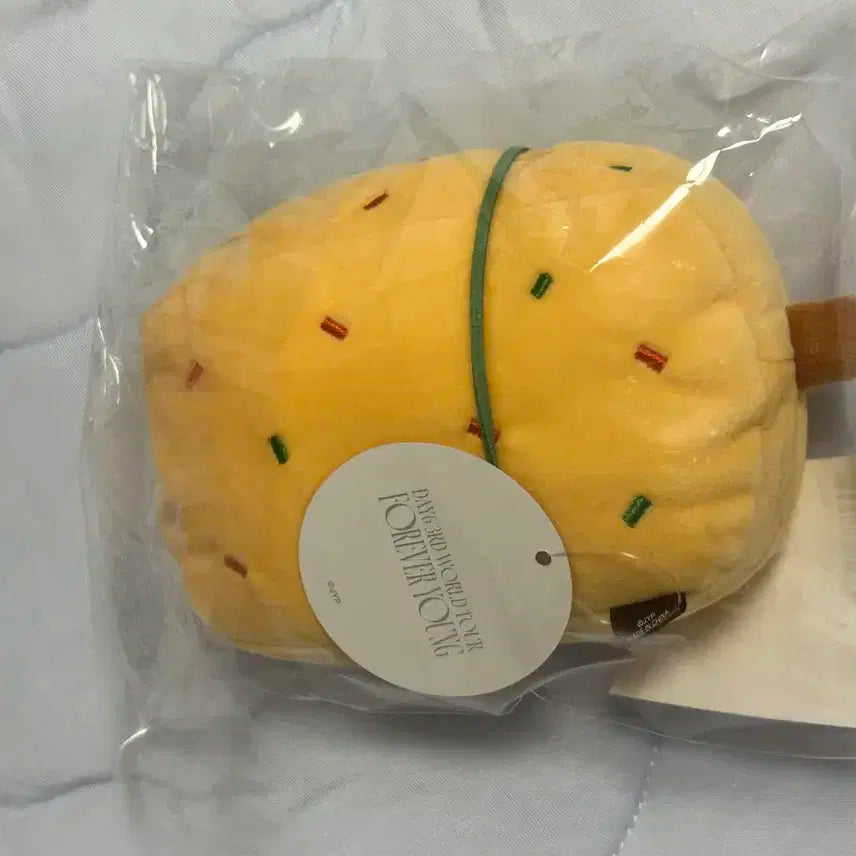 데이식스 부산콘 어묵옷