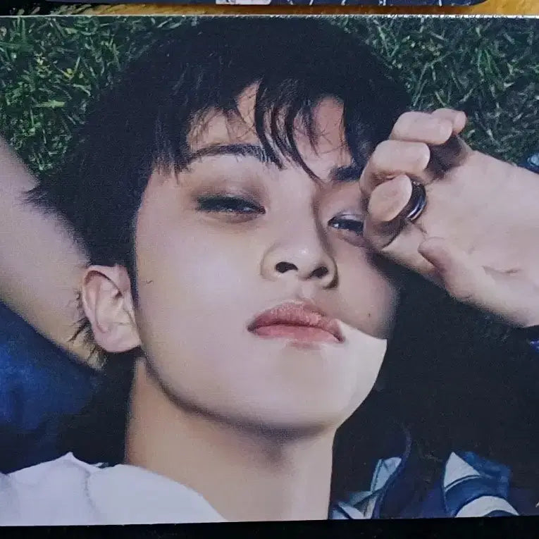 마크 The First Fruit 앨범