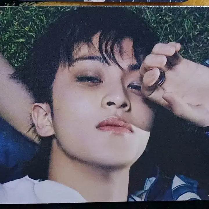 마크 The First Fruit 앨범