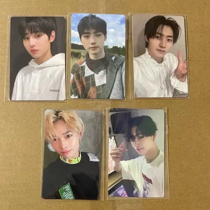 엔하이픈(성훈+니키) 포카 일괄판매